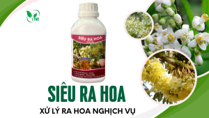 Sieu-ra-hoa-kich-ra-hoa-dong-loat