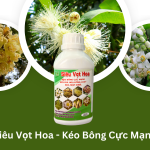 Siêu Vọt Hoa – Kéo Bông Đồng Loạt Cực Mạnh, Bông Cực Khoẻ
