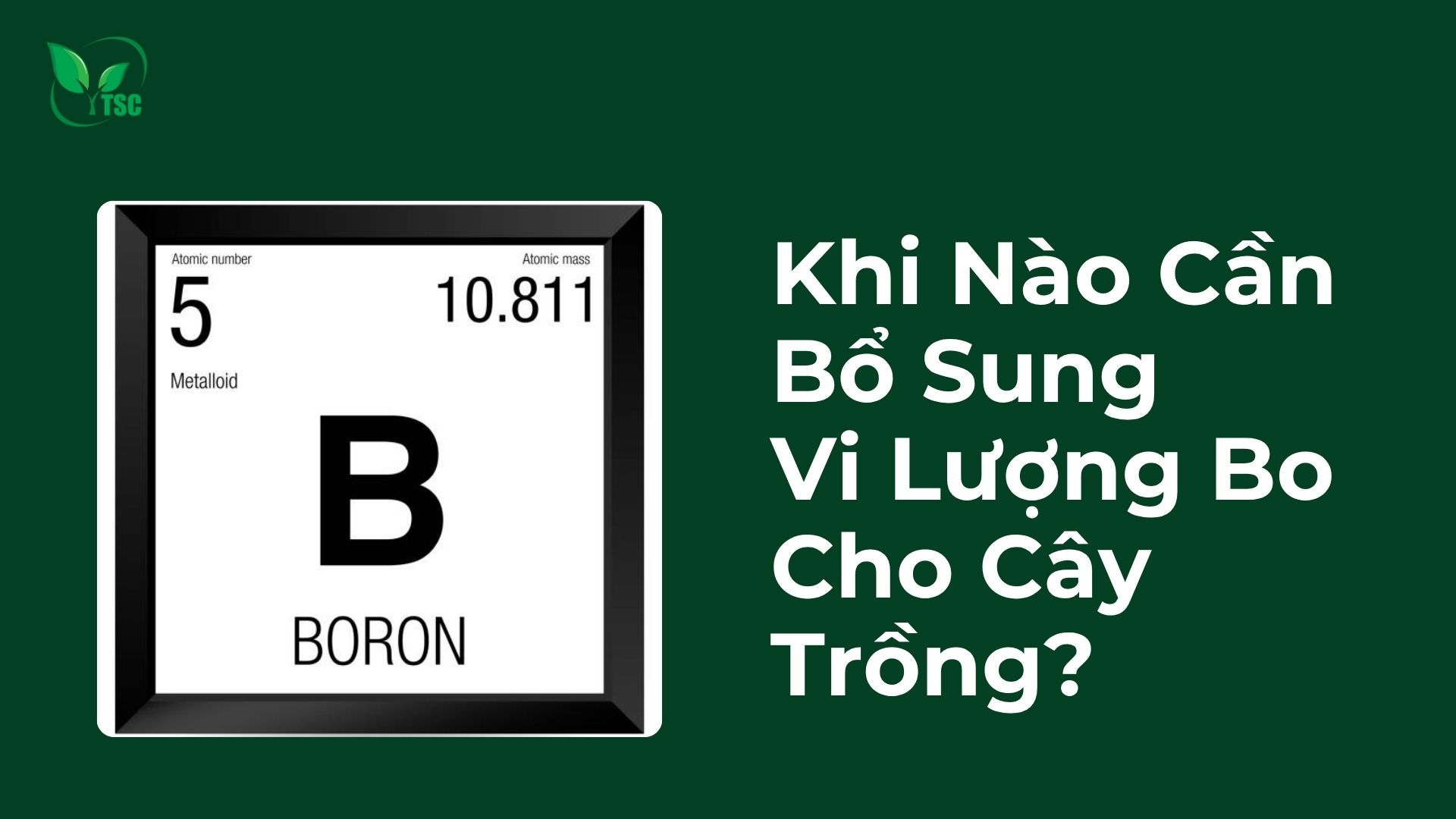 Khi nào cần bổ sung vi lượng Bo cho cây trồng