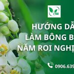 5 Bước Làm Bông Bưởi Năm Roi Nghịch Vụ