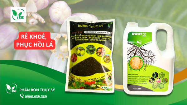 huong-dan-4-buoc-lam-bong-chanh-bong-tim