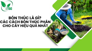 bón thúc là gì?các cách bón thúc phân cho cây hiệu quả