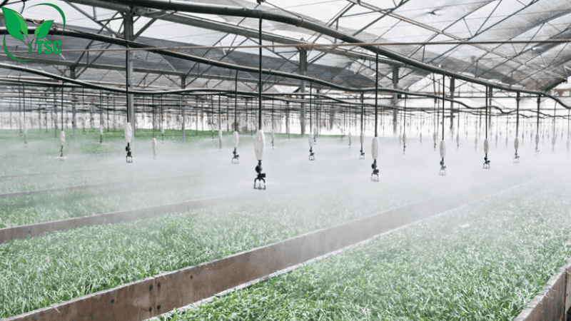 Bón Thúc Là Gì? Các Cách Bón Thúc Phân Cho Cây Hiệu Quả Nhất các cách bón thúc phân cho cây tưới nhỏ giọt