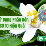 Cách Sử Dụng Lân Tạo Mầm Hoa 10 60 10 Hiệu Quả