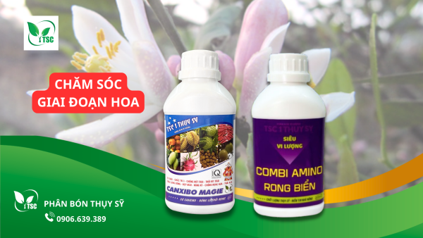 huong-dan-4-buoc-lam-bong-chanh-bong-tim