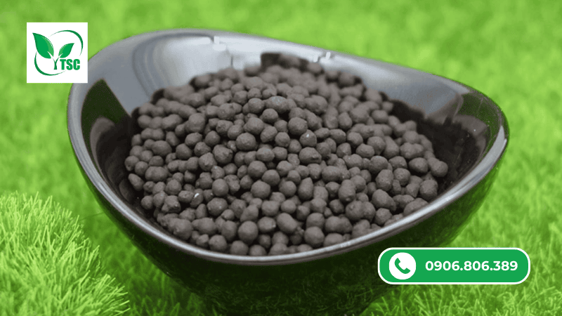 Humic Là Gì? Vì Sao Nên Bổ Sung Humic Định Kỳ? humic là gì, nguồn gốc của humic