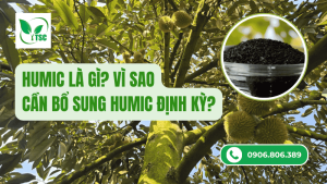humic là gì - vì sao cần bổ sung humic định kỳ