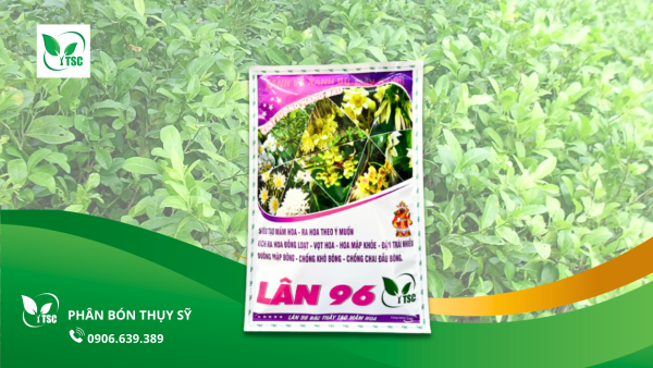 huong-dan-4-buoc-lam-bong-chanh-bong-tim