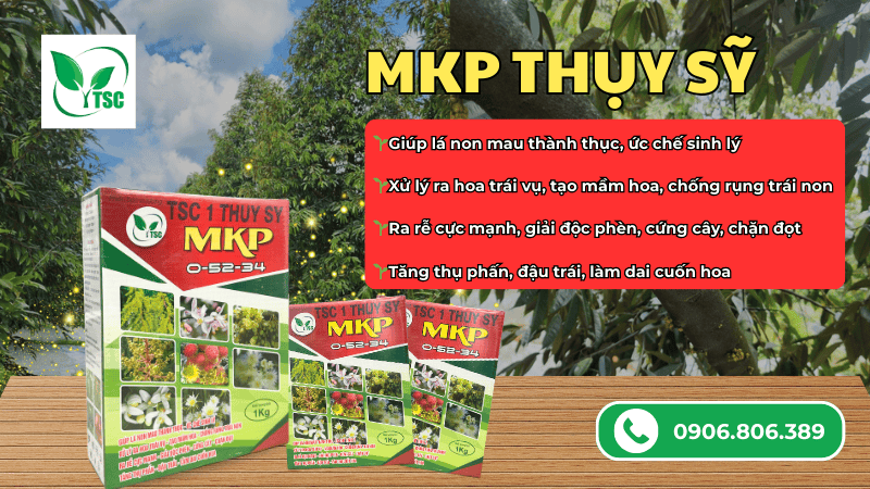 Vì sao nhà vườn ưu tiên MKP 0 52 34 để xử lý ra hoa nghịch vụ? phân bón mkp 0 52 34 thụy sỹ