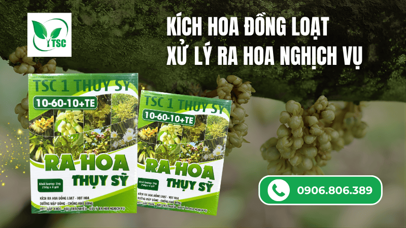 Cách Sử Dụng Lân Tạo Mầm Hoa 10 60 10 Hiệu Quả Phân bón 10 60 10 TE Thụy Sỹ