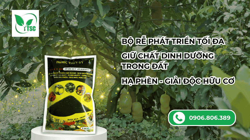 Humic Là Gì? Vì Sao Nên Bổ Sung Humic Định Kỳ? Phân bón humic Thụy Sỹ