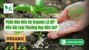 phân bón hữu cơ organic là gì