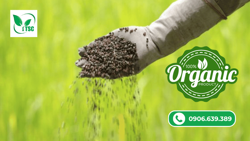 phân bón hữu cơ organic là gì