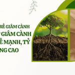 Thuốc Kích Rễ Giâm Cành – Kỹ Thuật Giâm Cành Giúp Ra Rễ Mạnh, Tỷ Lệ Sống Cao