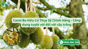 canxi bo hữu cơ thụy sỹ chính hãng - công dụng tuyệt với đối với cây trồng