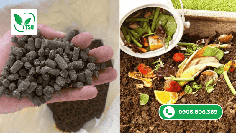 Ưu Nhược Điểm Các Loại Phân Bón Hữu Cơ Nhà Vườn Thường Sử Dụng các loại phân bón hữu cơ nhà vườn thường sử dụng