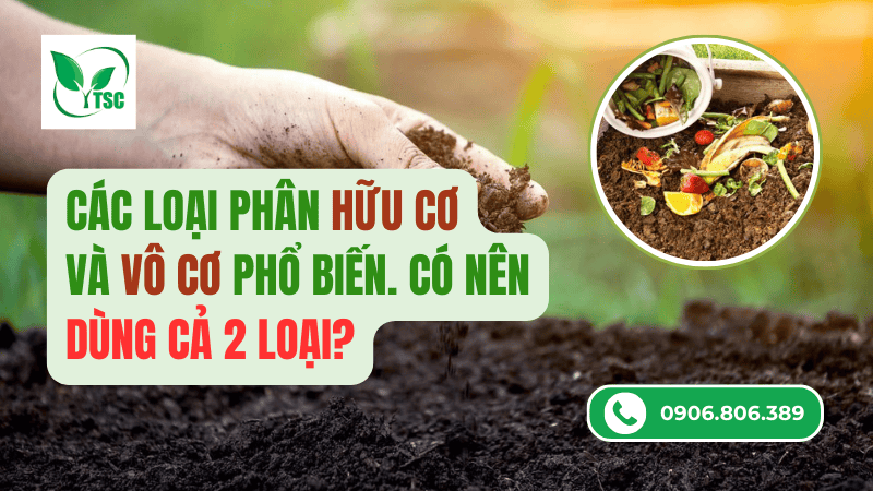 các loại phân hữu cơ và vô cơ phổ biến trên thị trường