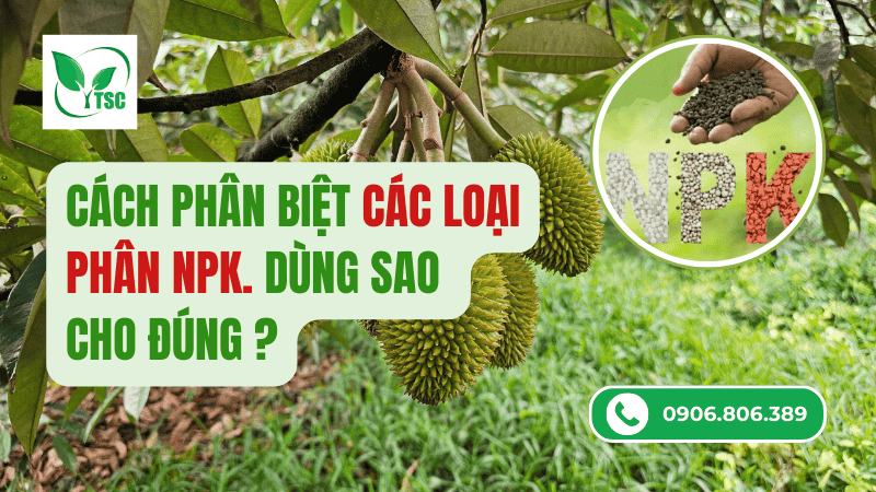 cách phân biệt các loại phân npk dùng sao cho đúng