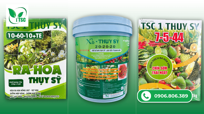 Cách Phân Biệt Các Loại Phân NPK: Dùng Sao Cho Đúng? cách phân biệt các loại phân npk