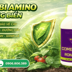 Combi Amino Rong Biển Thụy Sỹ – Dưỡng Cây, Xanh Lá, Chống Rụng Hiệu Quả