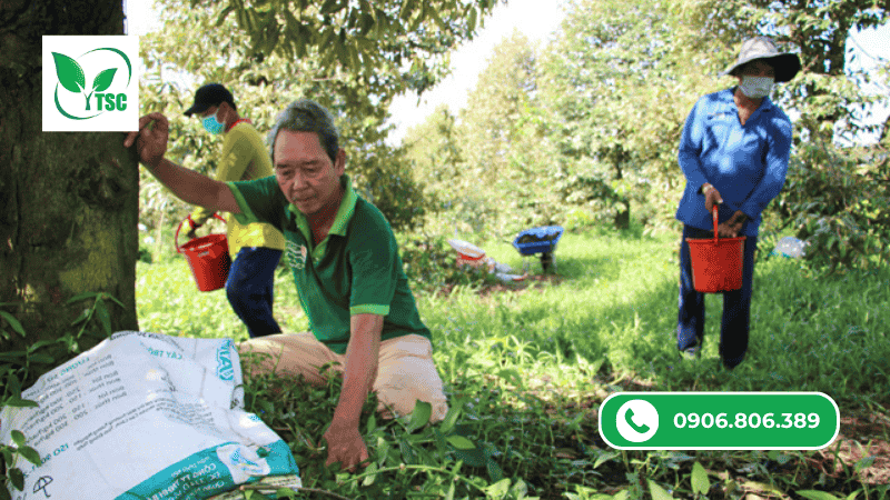 Cách Phân Biệt Các Loại Phân NPK: Dùng Sao Cho Đúng? công dụng của các loại phân npk