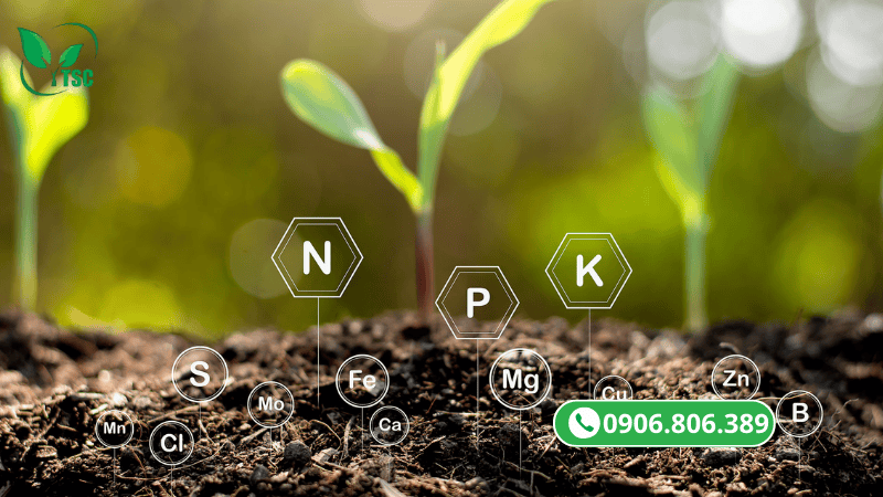Phân Bón Lá Là Gì? Công Dụng, Cách Sử Dụng Phân Bón Lá Hiệu Quả Cho Cây Trồng công dụng của phân bón lá đối với cây trồng