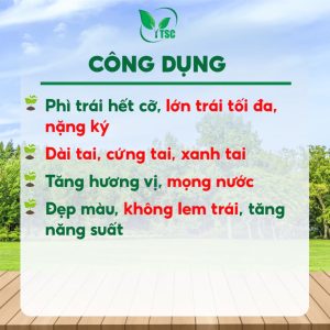 SỦI GA3 32T Thụy Sỹ, Phì Trái Hết Cỡ, Lớn Trái Tối Đa, Nặng Ký, Cứng Tai, Không Lem Trái - Viên 7gr