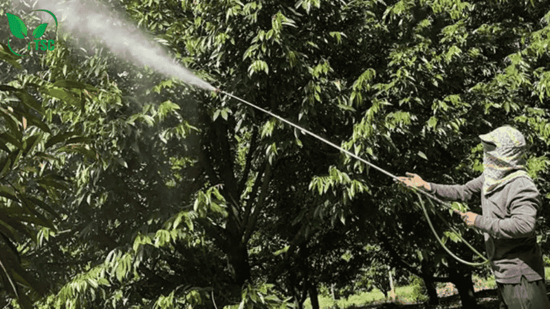 Canxi Bo Là Gì? Cách Dùng Và Tác Dụng Của Canxi Bo Đối Với Cây Trồng kỹ thuật và liều lượng phun canxi bo