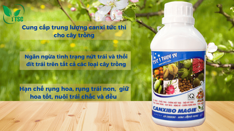 Canxi Bo Là Gì? Cách Dùng Và Tác Dụng Của Canxi Bo Đối Với Cây Trồng nên mua canxi bo ở đâu chất lượng cho cây trồng?