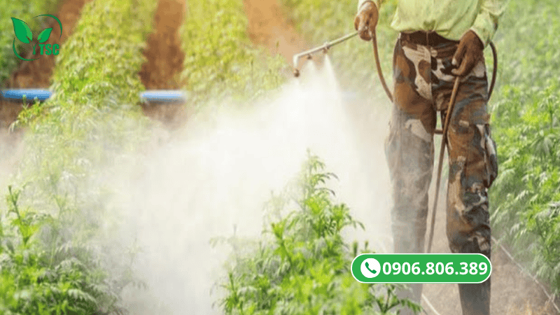 Phân Bón Lá Là Gì? Công Dụng, Cách Sử Dụng Phân Bón Lá Hiệu Quả Cho Cây Trồng phân bón lá là gì?