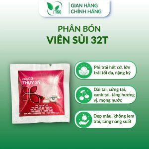 SỦI GA3 32T Thụy Sỹ, Phì Trái Hết Cỡ, Lớn Trái Tối Đa, Nặng Ký, Cứng Tai, Không Lem Trái - Viên 7gr
