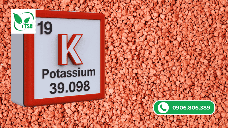 phân kali là gì?