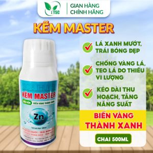 Phân Bón Thụy Sỹ Kẽm Master Thụy Sỹ Biến Vàng Thành Xanh