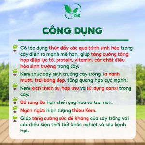 Công dụng Kẽm Master Biến Vàng Thành Xanh, Chống Vàng Lá, Teo Lá, Trái Bóng Đẹp, Lá Xanh Mướt, Tăng Đề Kháng