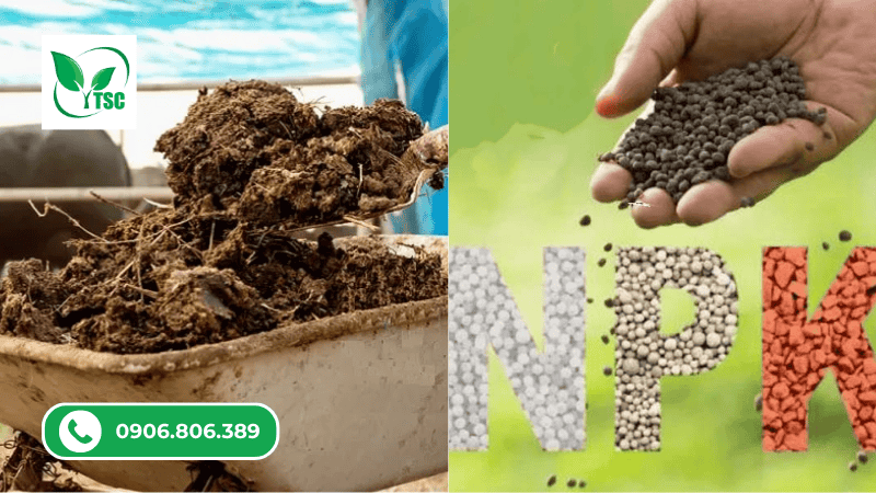 so sánh các loại phân hữu cơ và vô cơ