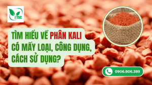 tìm hiểu về phân kali