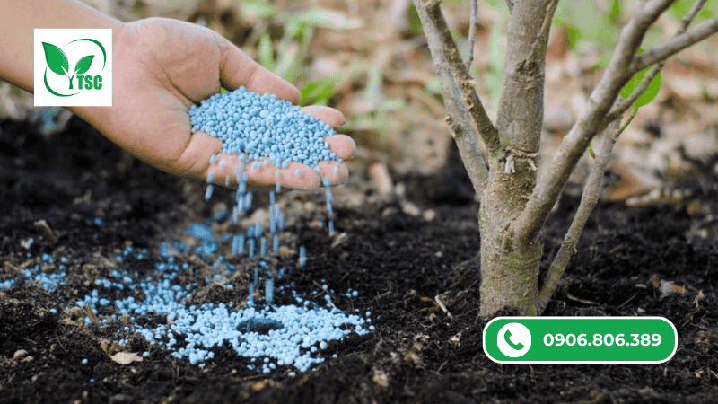 tổng quan về các loại phân hữu cơ và vô cơ