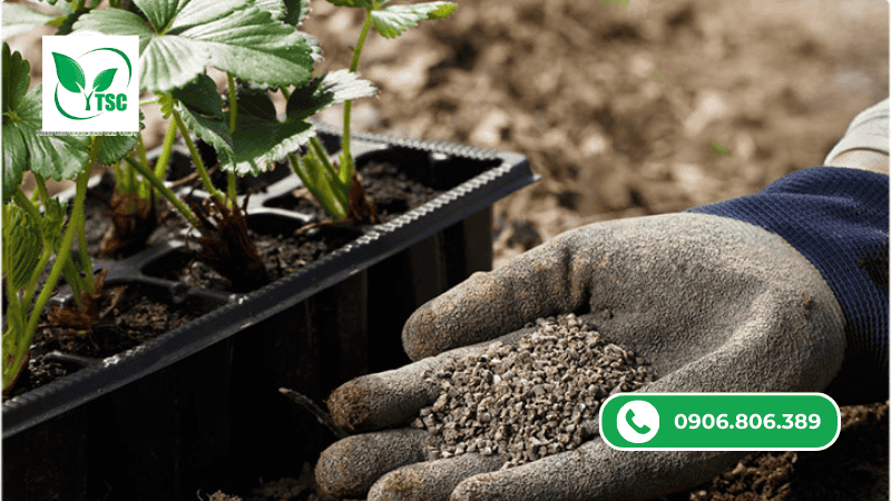 Ưu Nhược Điểm Các Loại Phân Bón Hữu Cơ Nhà Vườn Thường Sử Dụng ưu nhược điểm của các loại phân bón hữu cơ công nghiệp