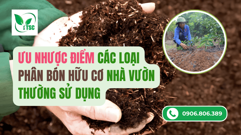ưu nhược điểm các loại phân bón hữu cơ nhà vườn sử dụng