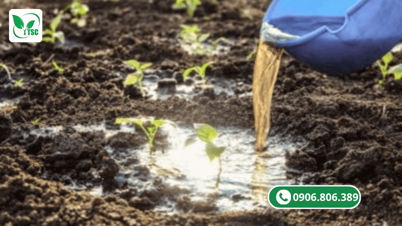 đạm cá công nghiệp pha loãng