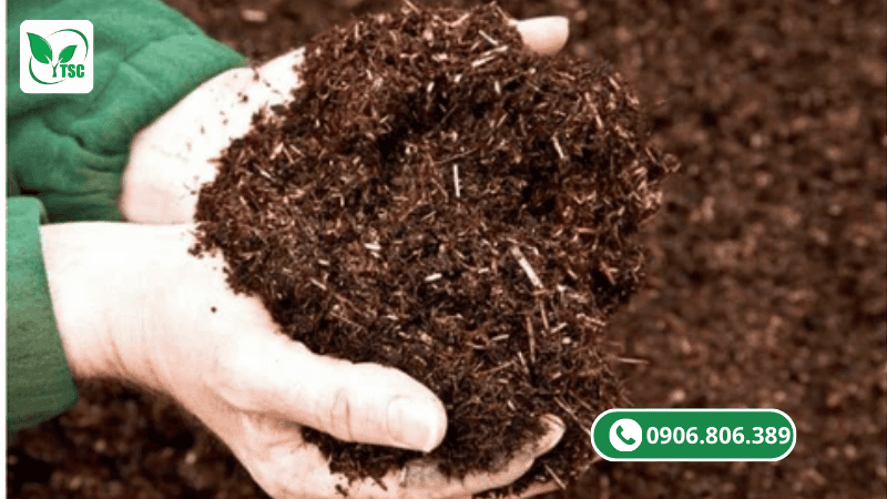 đạm cá giúp cải thiện đất trồng