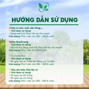 SỦI GA3 5000T Thụy Sỹ, Phì Trái Hết Cỡ, Lớn Trái Tối Đa, Nặng Ký, Dài Tai, Không Lem Trái - Viên 7gr