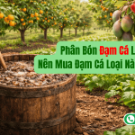 Phân Bón Đạm Cá Là Gì? Nên Mua Đạm Cá Loại Nào Tốt Nhất?