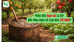 phân bón đạm cá là gì?nên mua đạm cá loại nào tốt nhất?