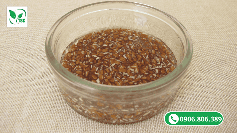 thuốc kích rễ atonik ngâm hạt giống