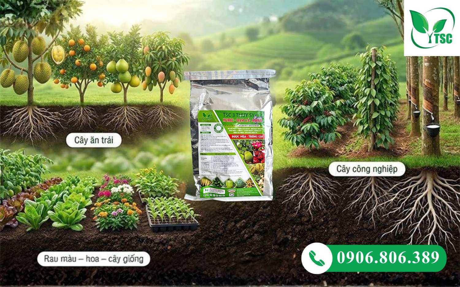 Sầu Riêng Ra Mắt Cua Gặp Mưa Có Sao Không? Cách Xử Lý Đúng Giúp Giữ Bông, Đậu Trái Cao Bổ sung Humic, Fulvic và trung vi lượng cho sầu riêng sau mưa